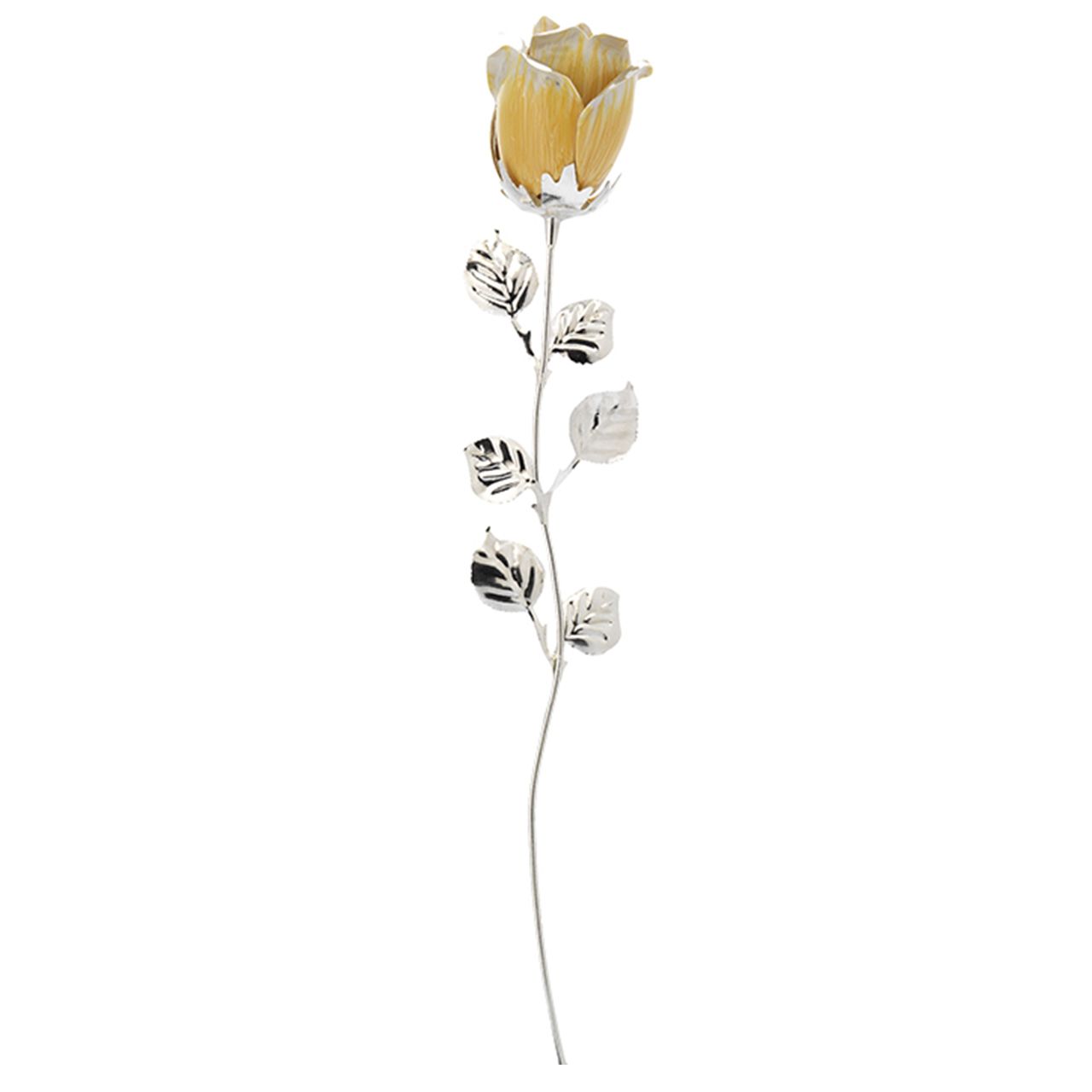 ROSA CM 33 - GIALLA SCARLATTA